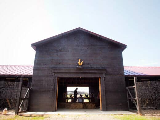 The Poultry Palace