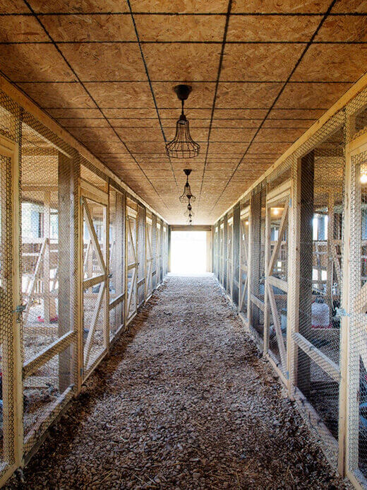 Inside the Poultry Palace