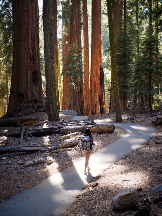 Exploring the Congress Trail