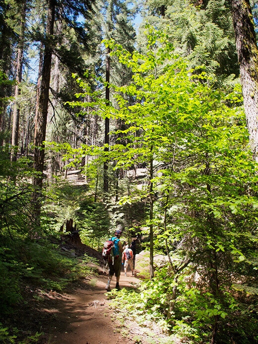 Hiking to Crescent Meadow