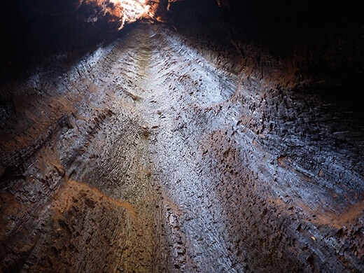 Inside a hollow sequoia