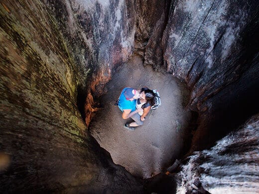 Smoochin' inside a sequoia
