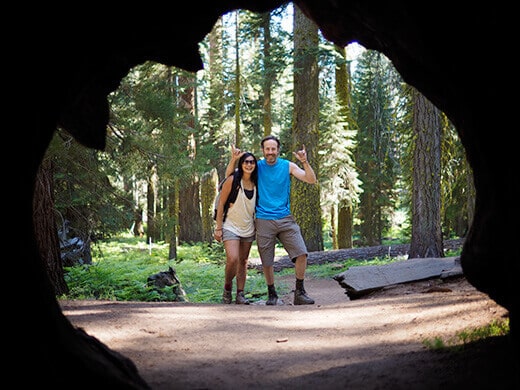 View from inside Chimney tree