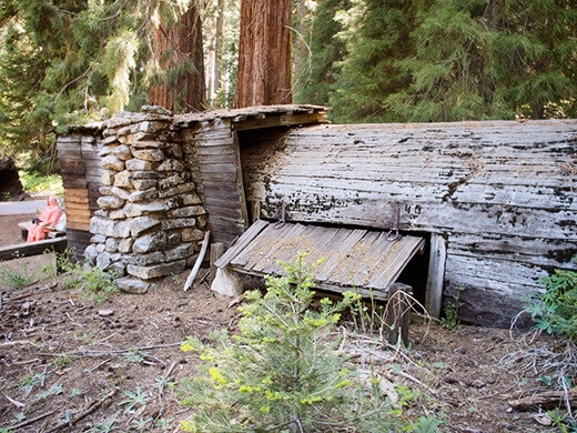 Tharp's Log