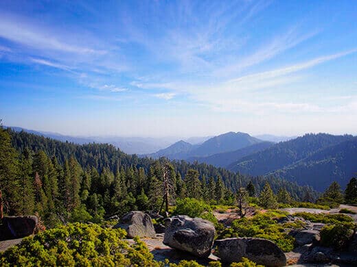 View from Beetle Rock