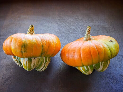 Turk's Cap squash