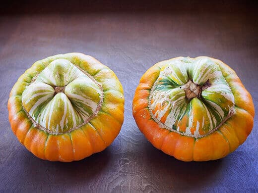 Mexican Hat squash