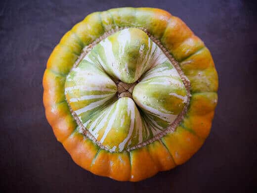 Turk's Turban squash base