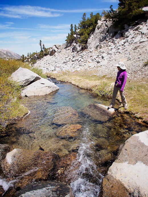 Swimming hole in Upper Rock Creek
