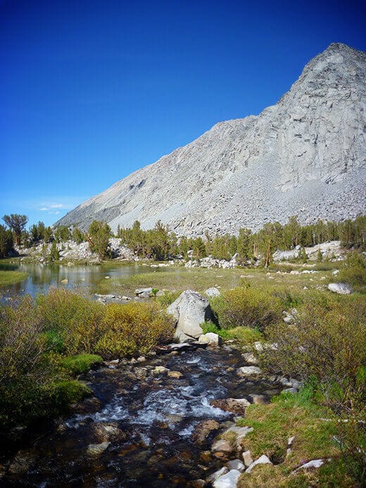 Running creek through the meadow