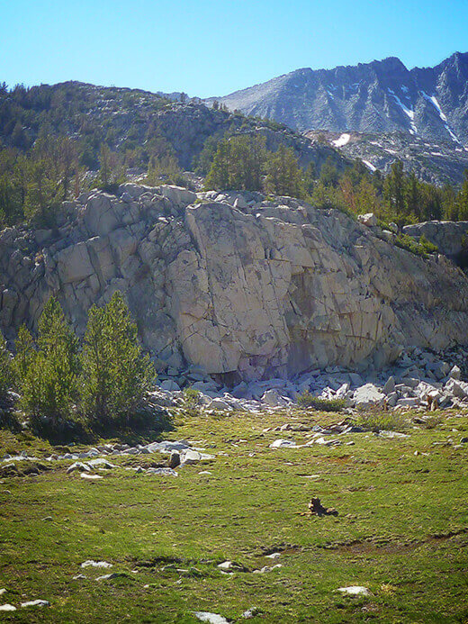 High country meadow