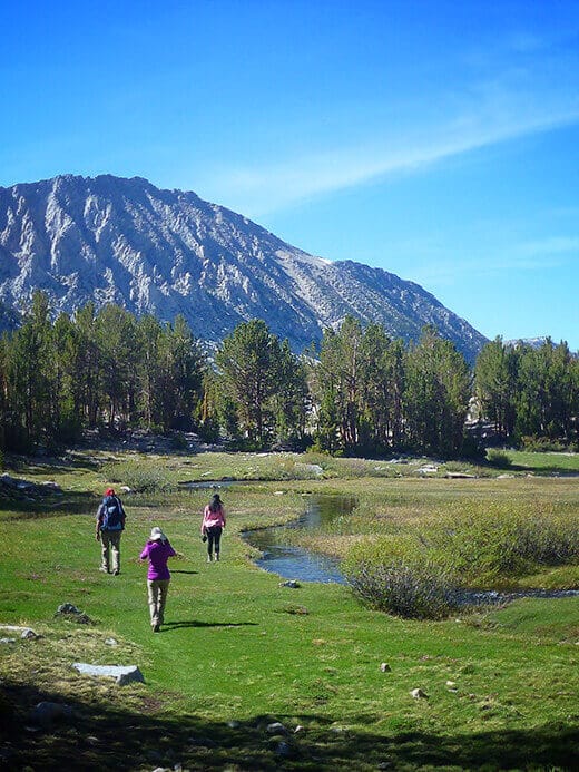 High country meadow