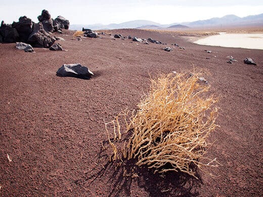 An otherworldly landscape