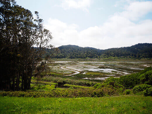 Tomales Bay at low tide