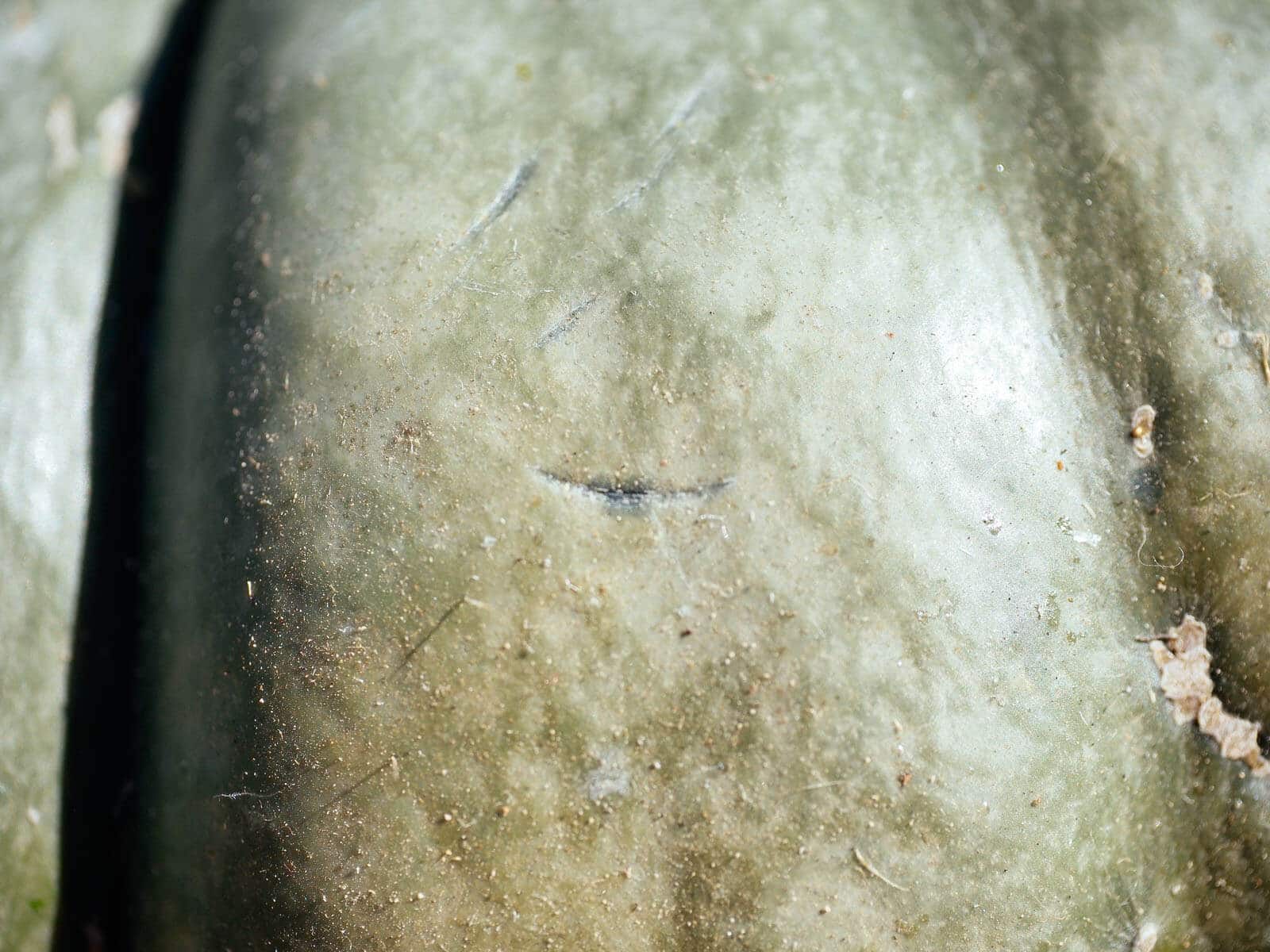Slight dent with a fingernail