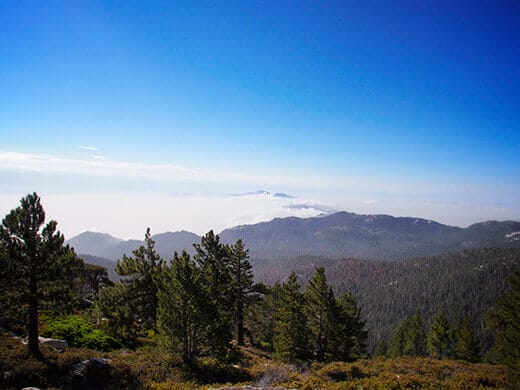 View from Wellman Divide