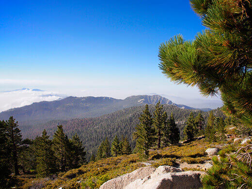 View from Wellman Divide