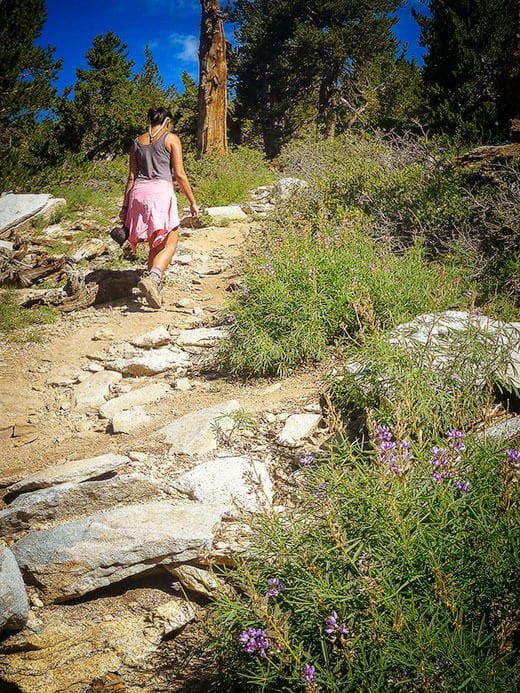 Hiking to the summit