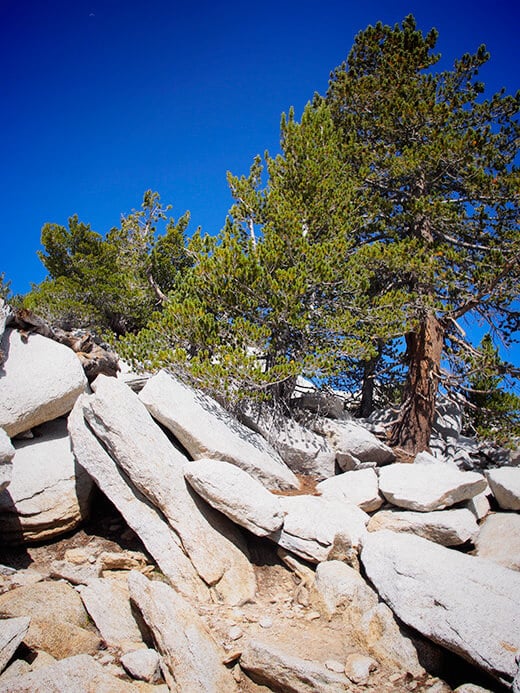 Final scramble to the San Jacinto Peak