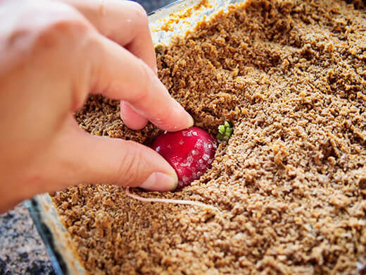 Bury your vegetables in the nukadoko to ferment