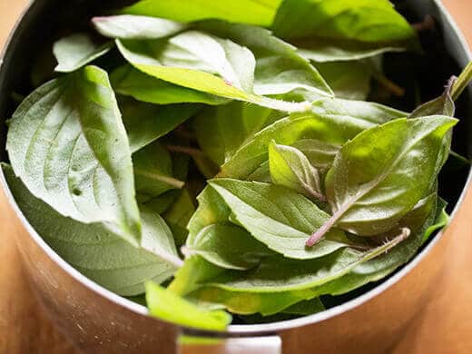 Basil leaves