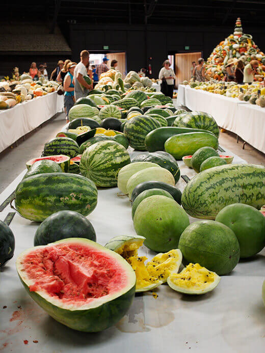 Watermelon