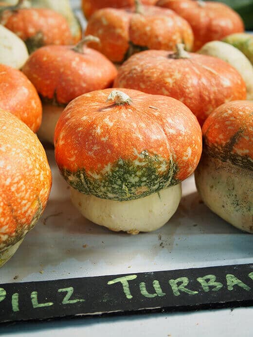 Turban squash