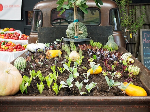 Mobile garden