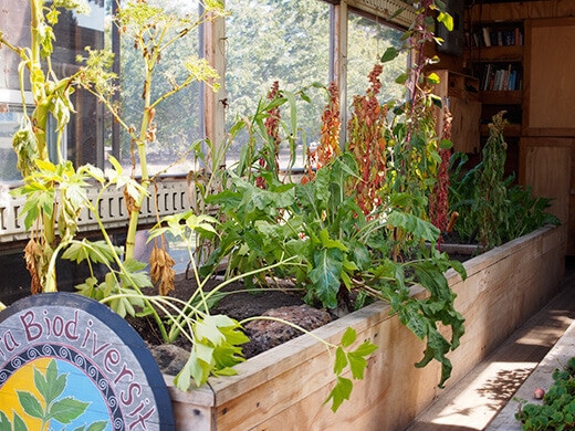 Raised beds inside a truck