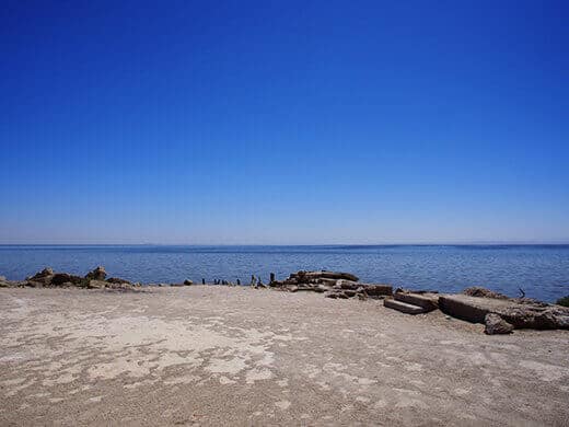Salt-crusted beach