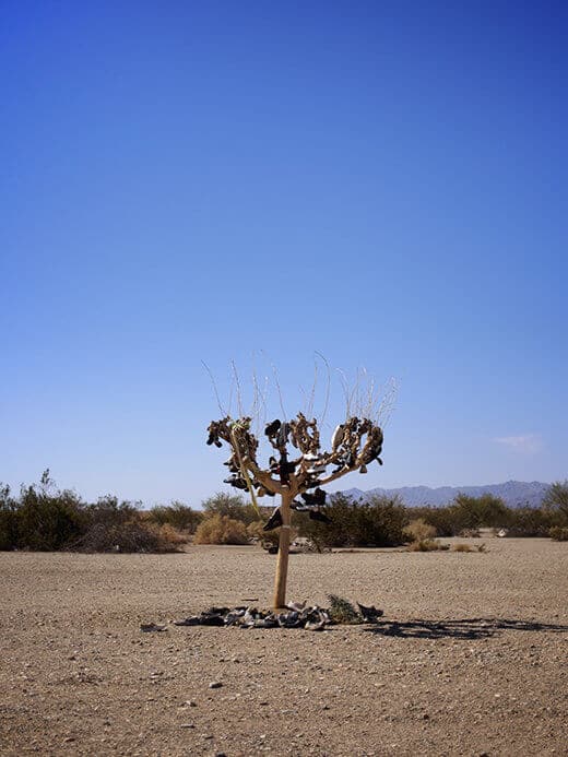The Shoe Tree