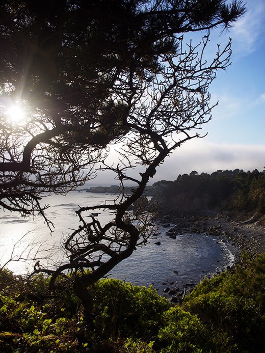Overlooking Fisk Mill Cove