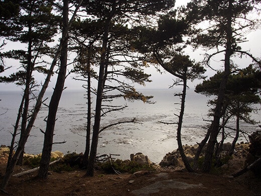 Salt Point beach