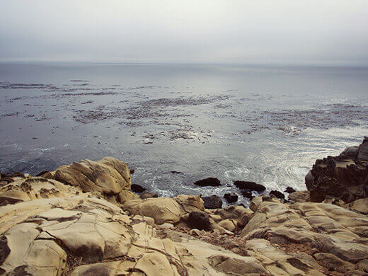 Salt-sculpted sandstone beach