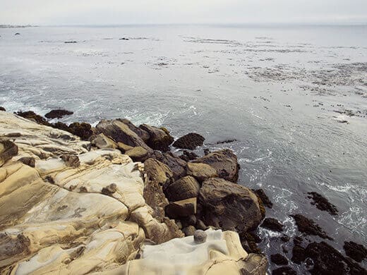 Sandstone at Fisk Mill Cove