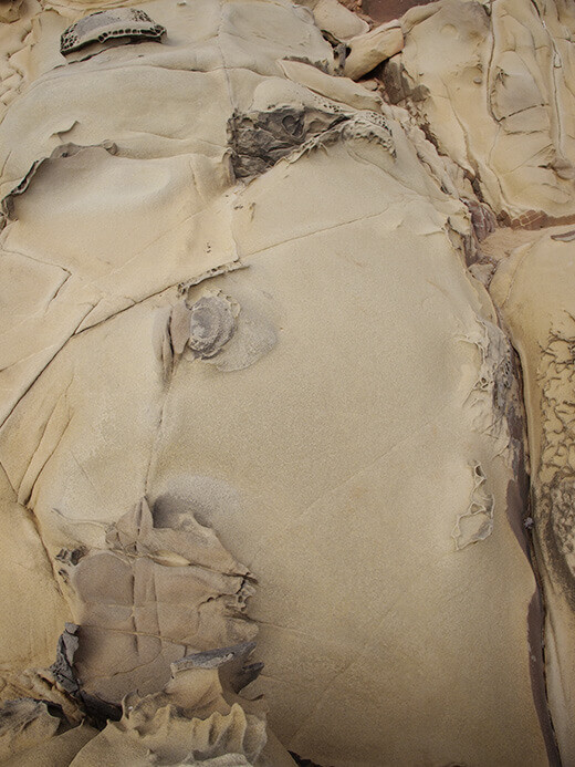 Smooth sandstone carved by salt crystals