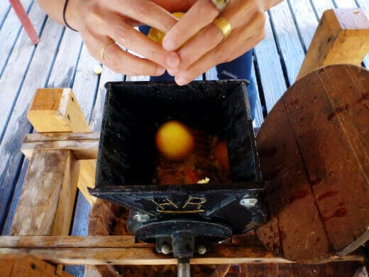 Old-fashioned cider press