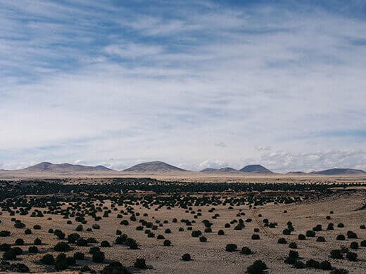 San Francisco Volcanic Field in Arizona