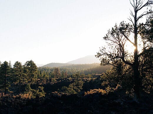 Revegetated volcanic landscape