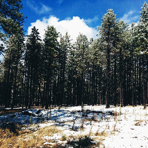 First snowfall in Arizona