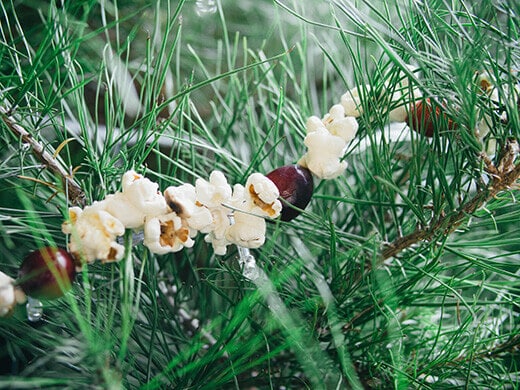 Popcorn and cranberry garland