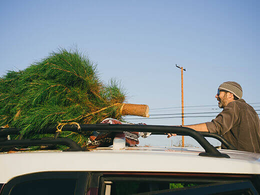 Bringing our Christmas tree home