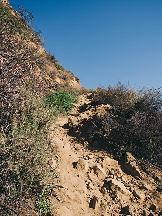 Hiking the Wonder View Trail
