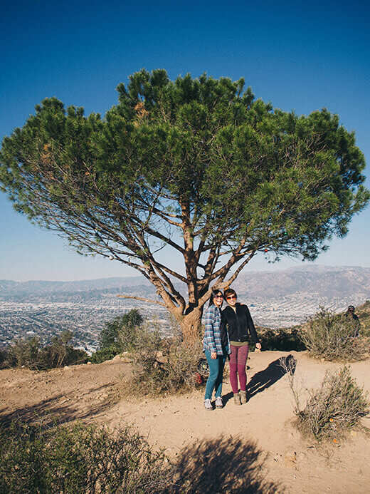 The Wisdom Tree on Burbank Peak