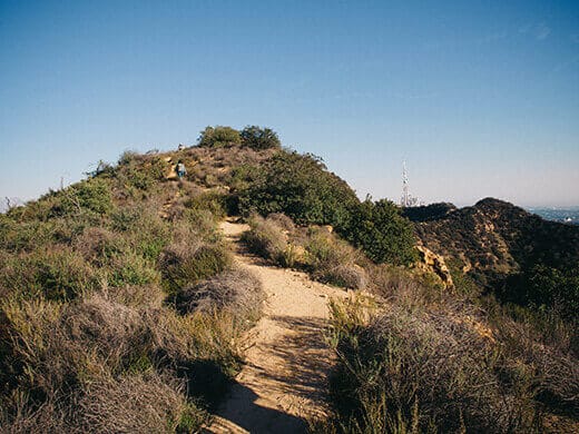 Hiking the Aileen Getty Ridge Trail