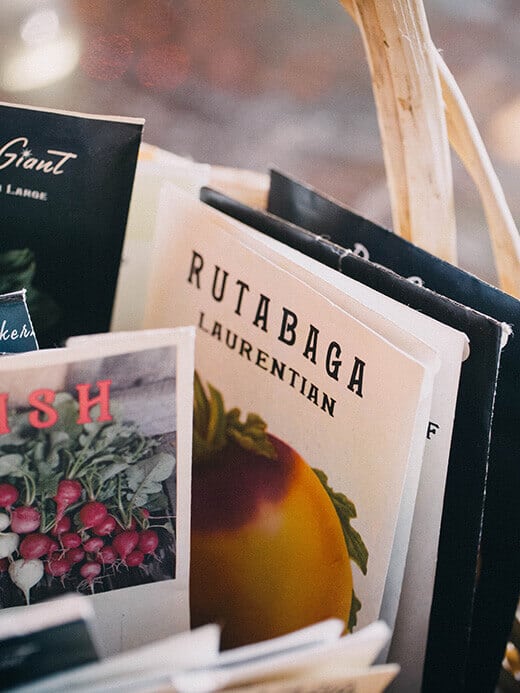 The stories behind heirloom seeds