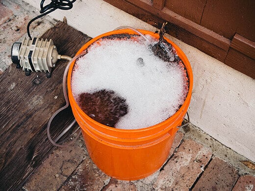 Let the compost tea aerate for 12 to 24 hours