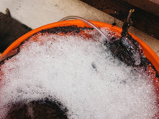 Foamy compost tea