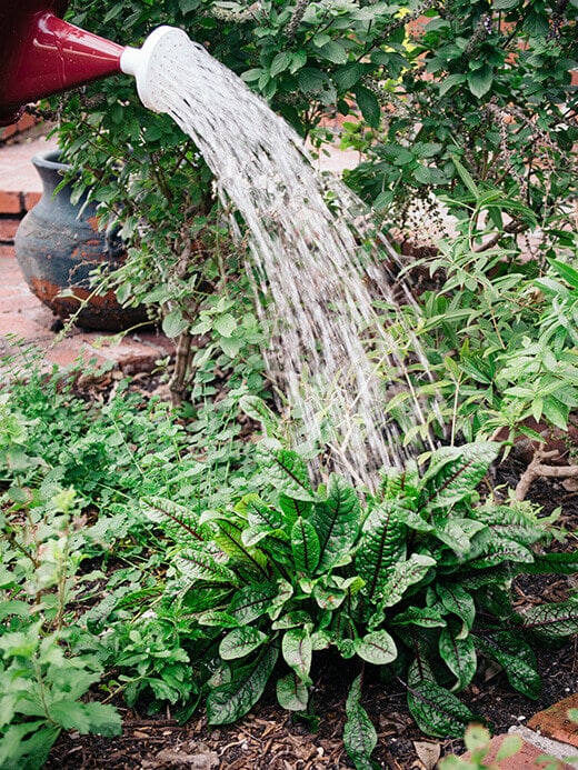 Spray garden beds