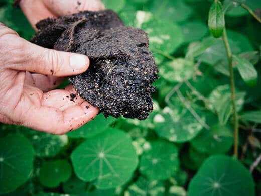 Toss remaining compost into garden soil